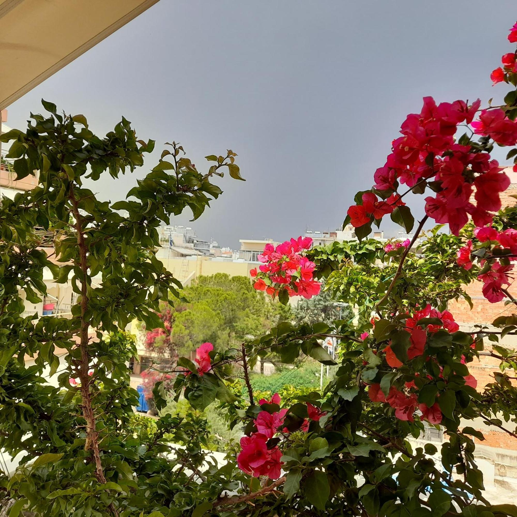 Athens Central Apartment 2 Mins To Metro Exteriör bild